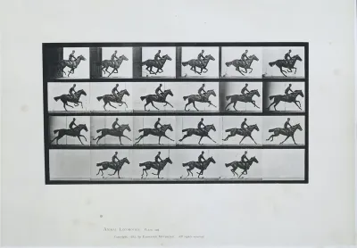 Gallop; Thoroughbred Bay Horse Bouquet