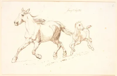 Galloperende hoppe med føl