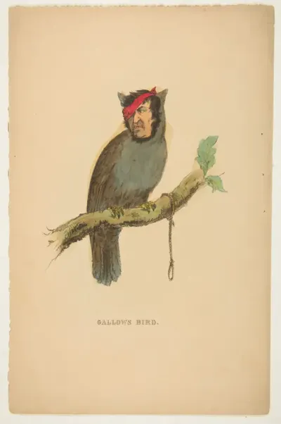 Gallows Bird, from "The Comic Natural History of the Human Race"