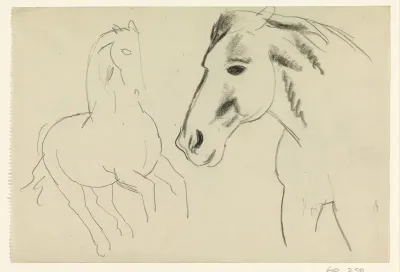 Galopperend paard en paardenhoofd