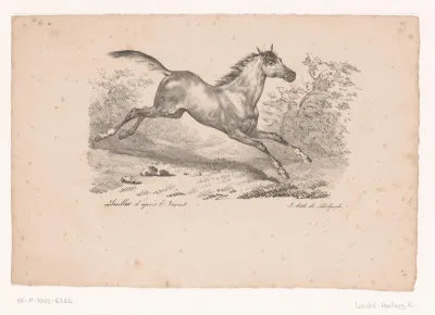 Galopperend paard in landschap
