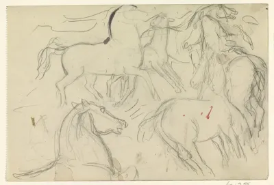 Galopperende paarden