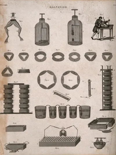 Galvanism: 25 figures illustrating experiments and instruments, including the galvanism of a frog's legs and a cow's head, as discovered by Luigi Galvani