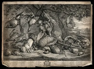 Game animals, birds and waterfowl (23 varieties), lying dead on the ground beneath an oak tree, in a pastoral setting