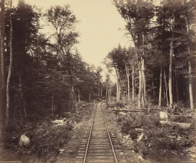 Ganoga Lake Branch