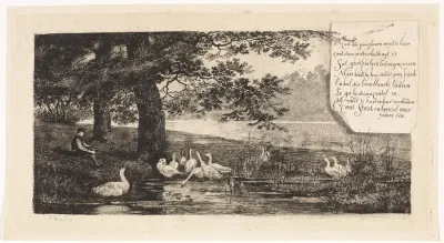Ganzen bij het water
