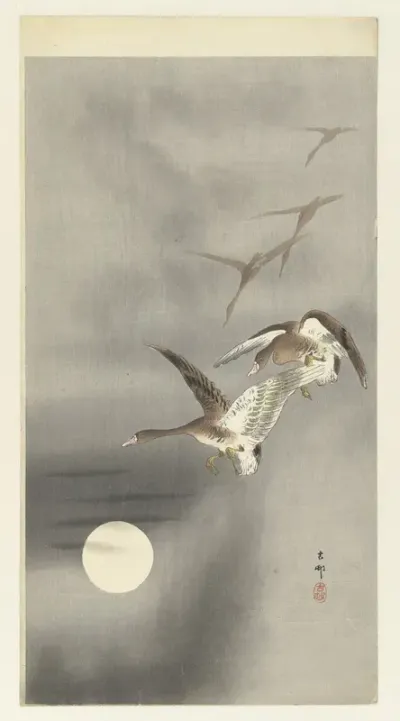 Ganzen in vlucht