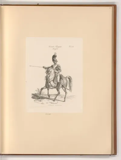 Garde Royale, Dragon, Cheval Limousin