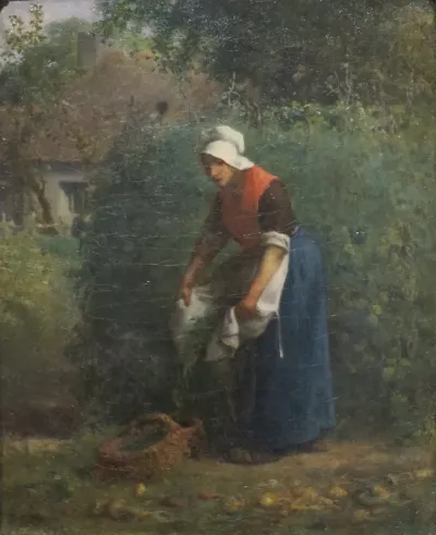 Gathering Beans