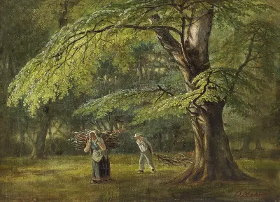 Gathering firewood among beech trees.