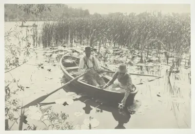 Gathering Water-Lilies