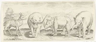 Gazelle, olifant en neushoorn
