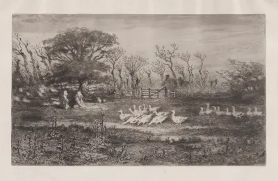 Geese