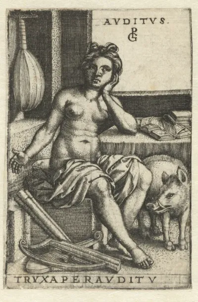 Gehoor (Auditus)