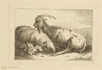 Geit en een schaap