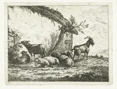 Geit en schapen bij vervallen boerenschuur