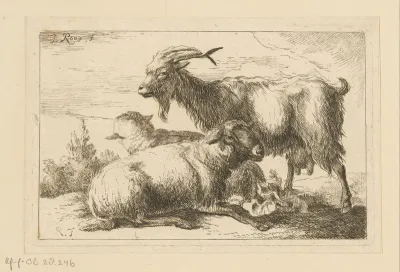 Geit en twee schapen