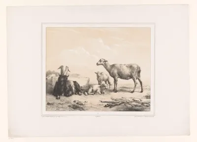 Geit, schaap en twee lammeren
