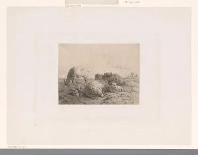 Geit, twee schapen en een lam in een weide