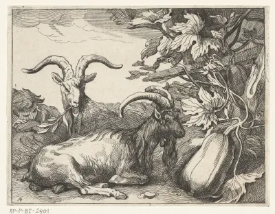 Geiten en kalebas