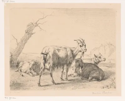 Geiten en schapen