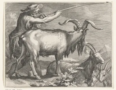 Geitenhoeder met geiten