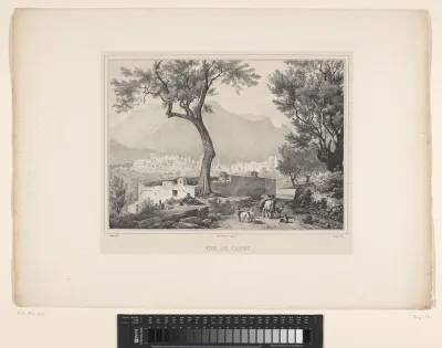 Geitenhoeders in de heuvels bij Capri