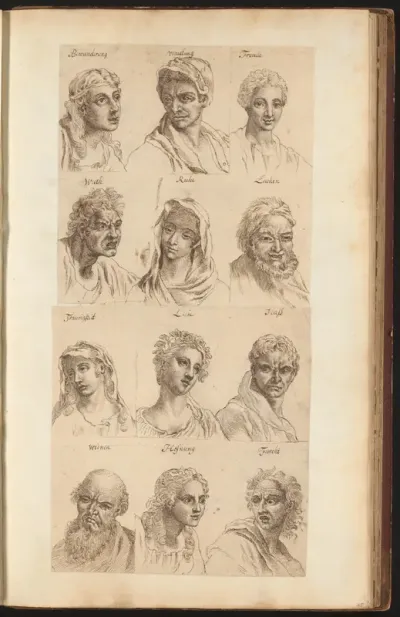 Gelaatsuitdrukkingen van emoties