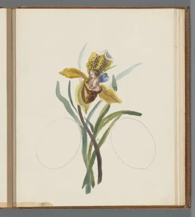 Gele iris met putto