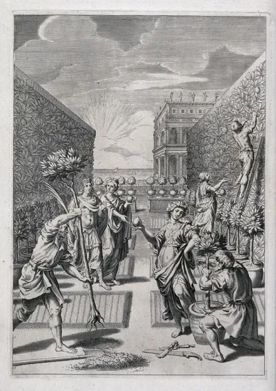 Genoa, with the aid of Arethusa, Alcimus, and Cosmus, introduces the lemon tree into Italy, thanks to the warm air of the Ligurian coast