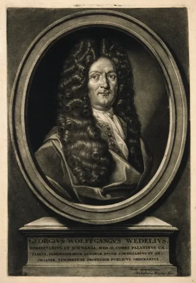 Georg Wolfgang Wedel