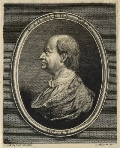 George Edwards. Line engraving by J. Miller, 1763, after I. Gosset