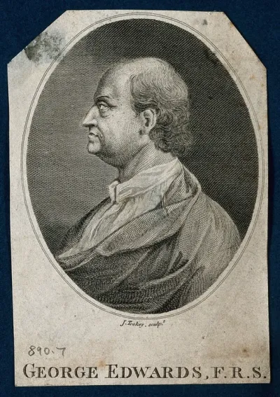 George Edwards. Line engraving by J. Tookey after I. Gosset