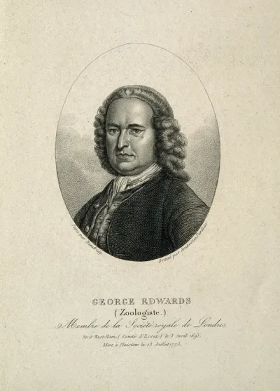 George Edwards. Stipple engraving by A. Tardieu after B. Dandridge
