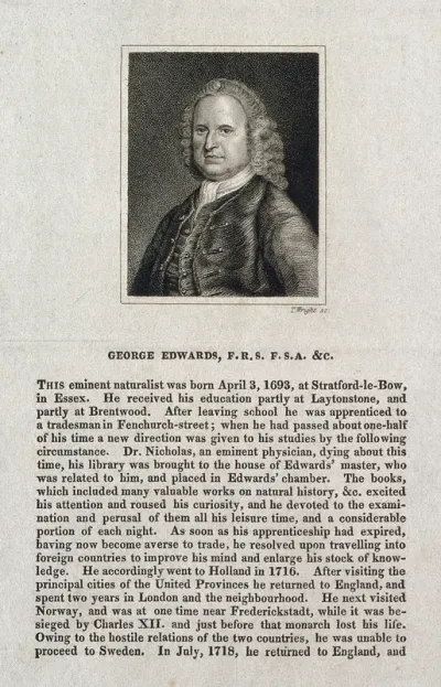 George Edwards. Stipple engraving by T. Wright after B. Dandridge