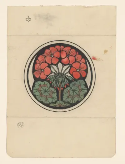 Geranium