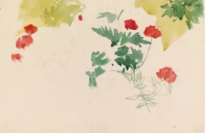 Geraniums