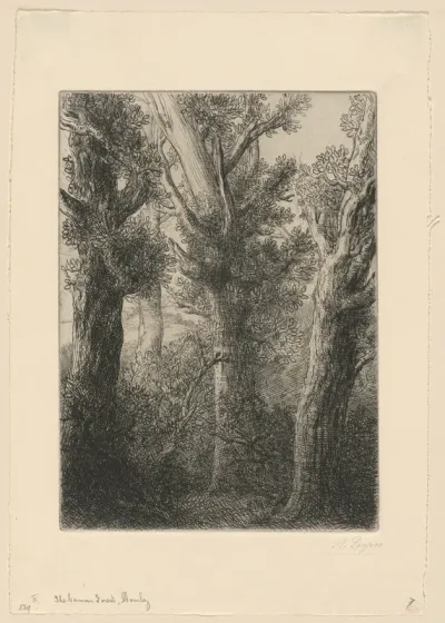 German Forest, Downley