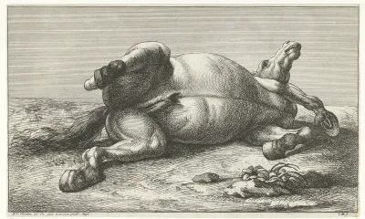 Gesneuveld paard liggend op de linkerzij
