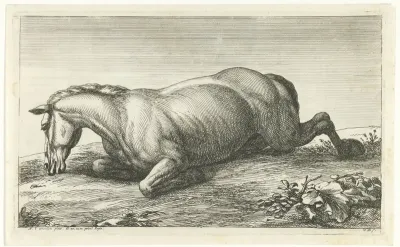 Gesneuveld paard op de buik liggend