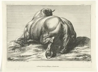 Gesneuveld paard op de buik van achter gezien