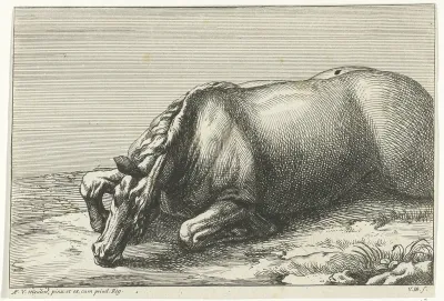 Gesneuveld paard op de linkerzij gezien