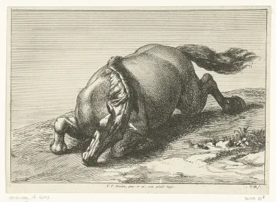 Gesneuveld paard schuin van voren