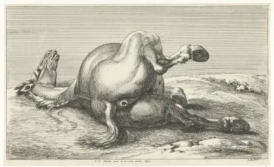 Gesneuveld paard