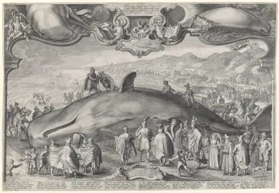 Gestrande walvis bij Beverwijk, 1601
