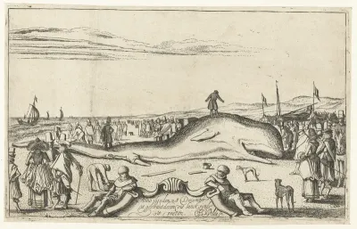 Gestrande walvis op het strand te Noordwijk, 1614