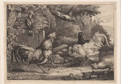Gevogelte en een aap