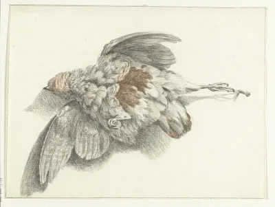 Gevogelte, hangend aan de muur