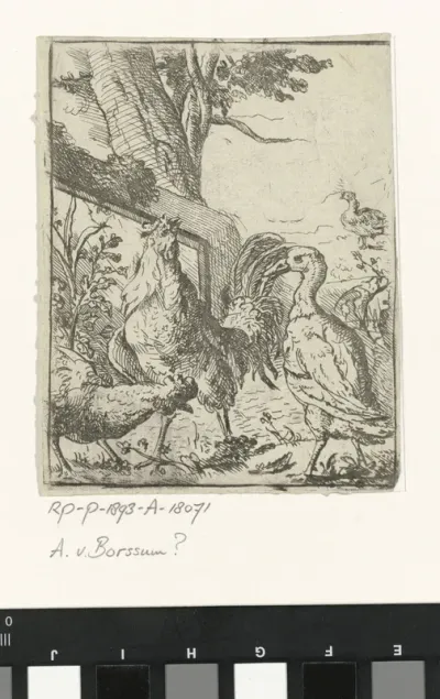 Gevogelte in een landschap