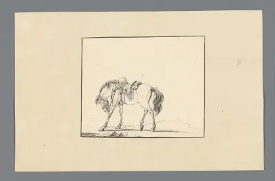 Gezadeld paard